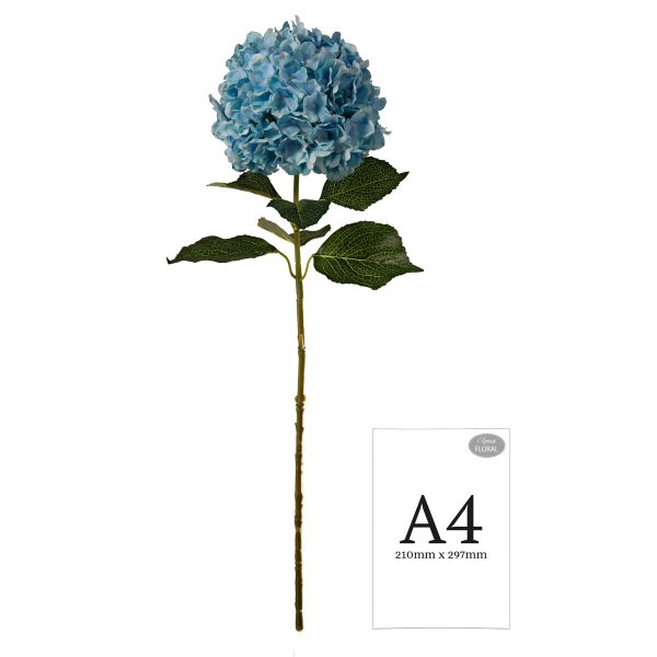 Hydrangea Light Blue