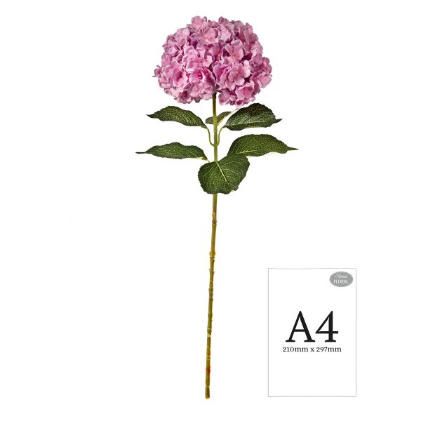 Hydrangea Two Tone Pink