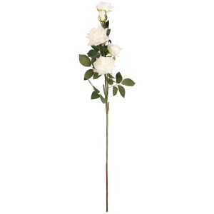 large diana rose spray white