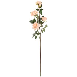 large diana rose spray champagne