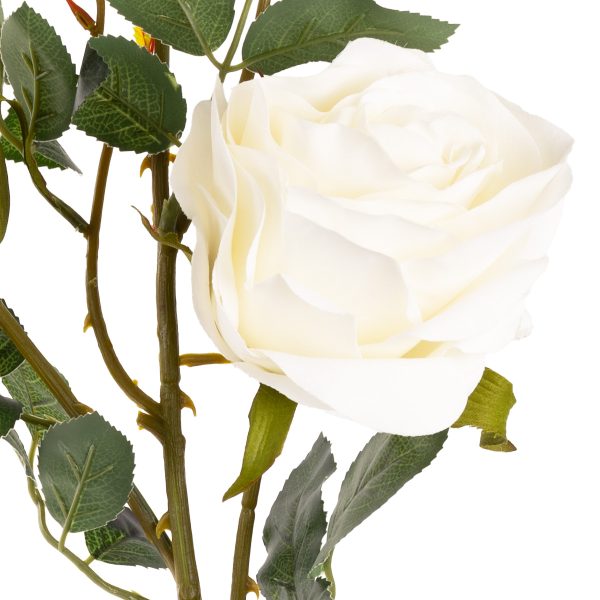 large charlotte rose spray white