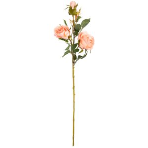 large charlotte rose spray champagne