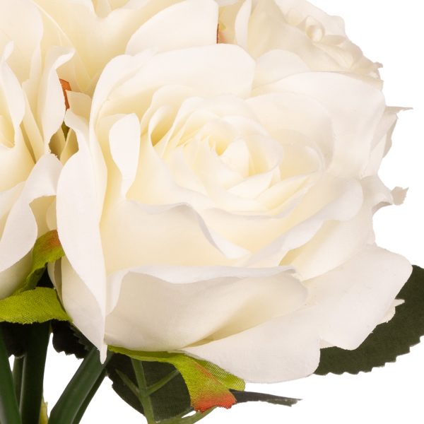 eugenie rose bunch white