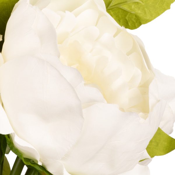 aurora peony bunch white