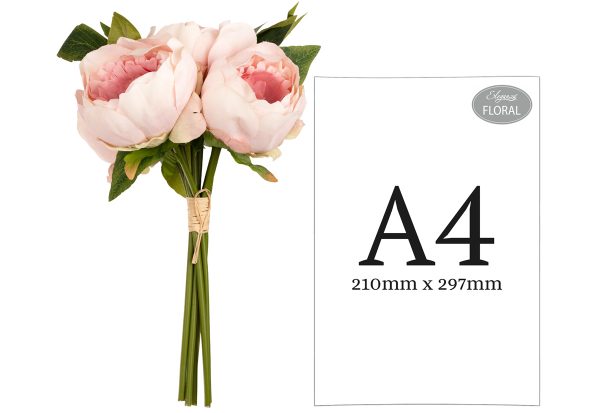 aurora peony bunch light pink