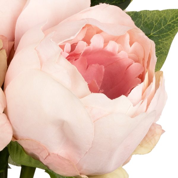 aurora peony bunch light pink