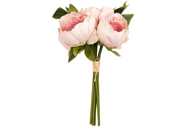 aurora peony bunch light pink