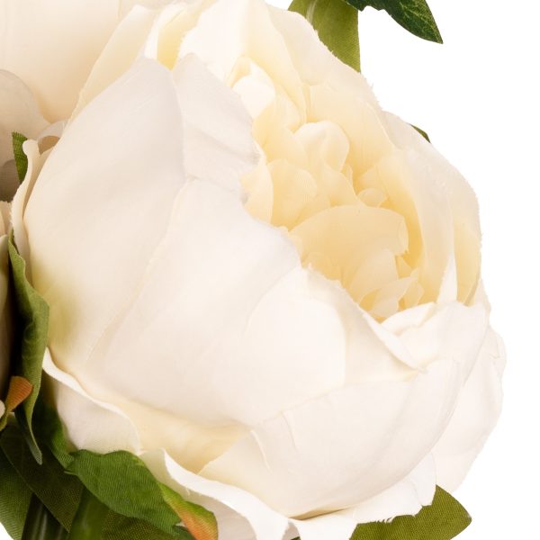 aurora peony bunch ivory