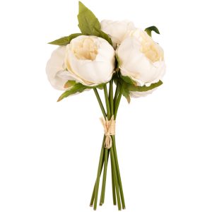 aurora peony bunch ivory