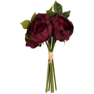 aurora peony bunch burgundy