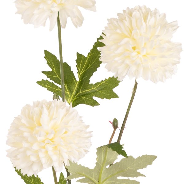 chysanthemum spray cream