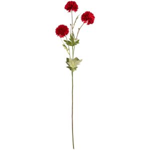 chysanthemum spray red