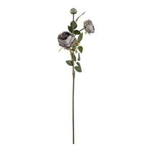 elizabeth garden rose spray grey