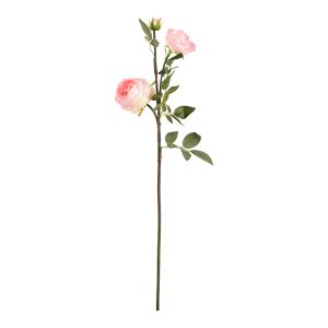 elizabeth garden rose spray light pink