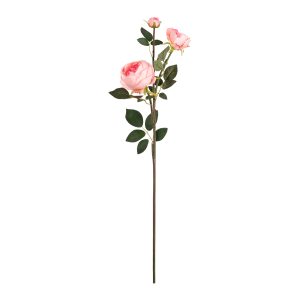 elizabeth garden rose spray dark pink