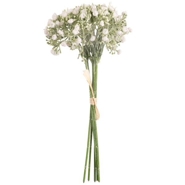 mini closed gypsophilia white