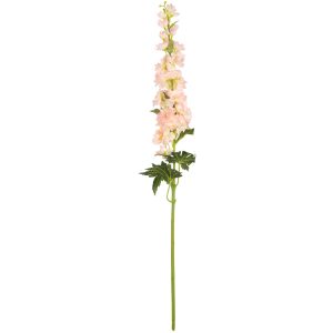 delphinium pink