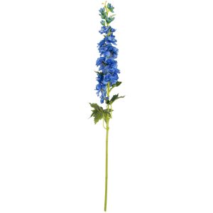 delphinium blue