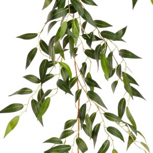 ruscus garland green