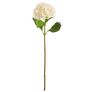 hydrangea stem white