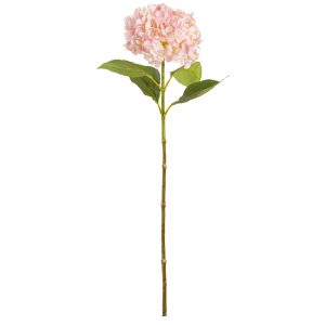 hydrangea stem light pink