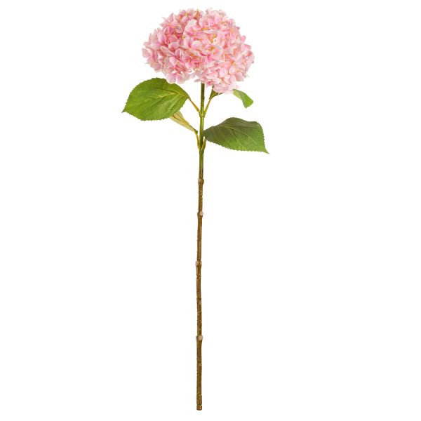 hydrangea stem pink