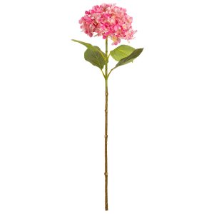 hydrangea stem dark pink