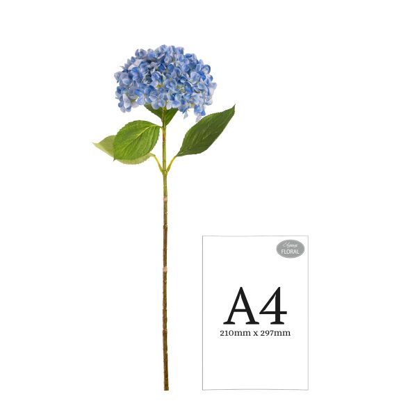 hydrangea stem light blue