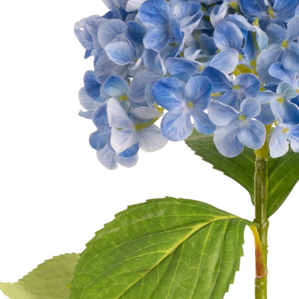 hydrangea stem light blue