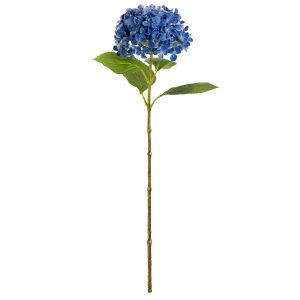 hydrangea stem blue