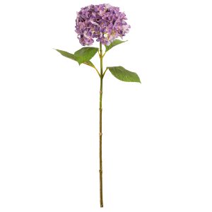 hydrangea stem lavender