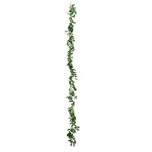 Ruscus Garland Green