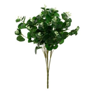 eucalyptus bush dark green