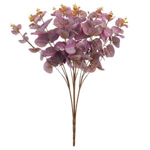 eucalyptus bush mauve