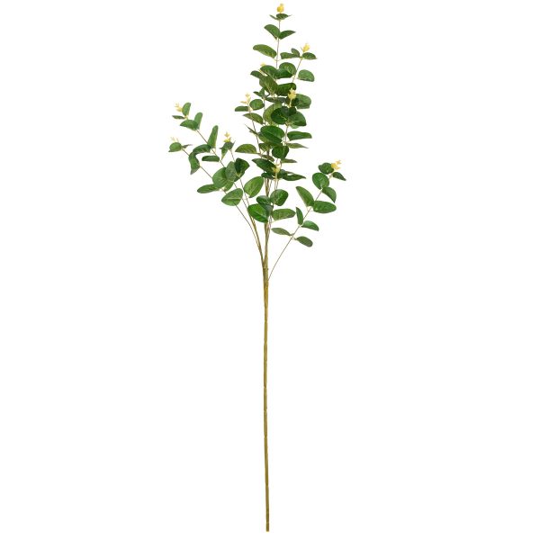 eucalyptus-stem-dark-green