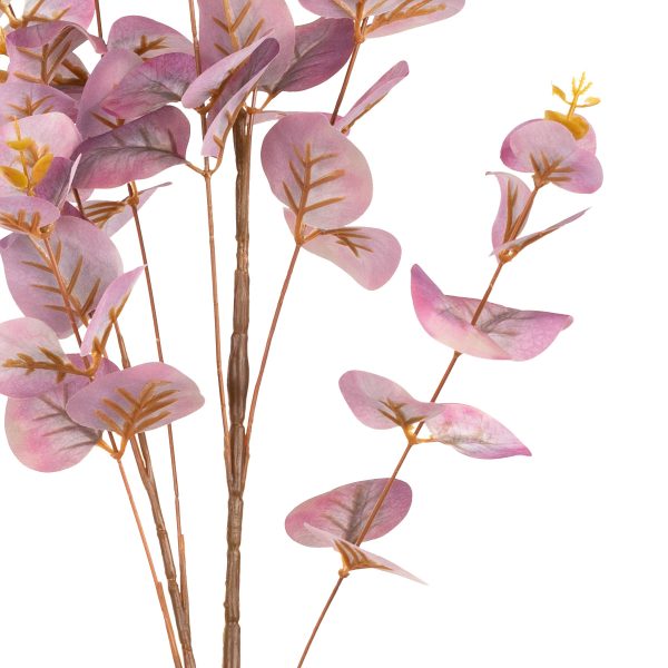 eucalyptus-stem-mauve