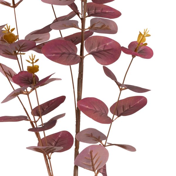 eucalyptus-stem-burgundy