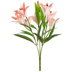 lily bush light pink