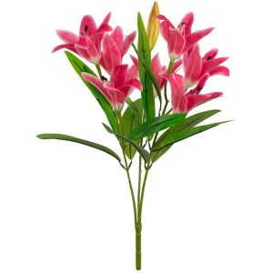 lily bush hot pink