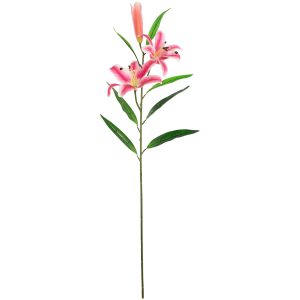 lily stem hot pink