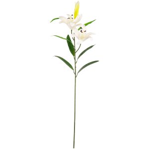 lily stem white