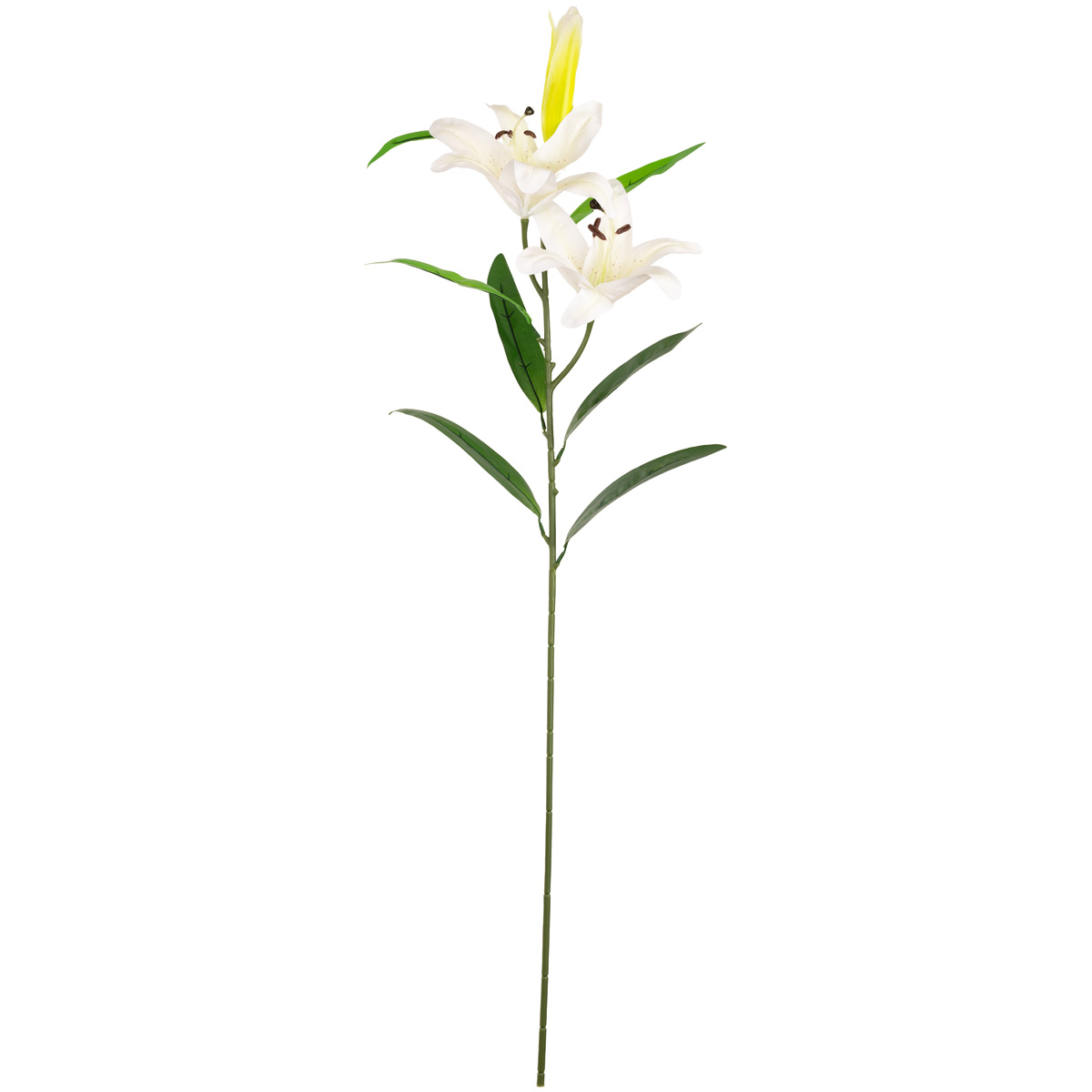 Lily Stem x 2, 1 Bud & 7 Leaves White | EleganzaFloral