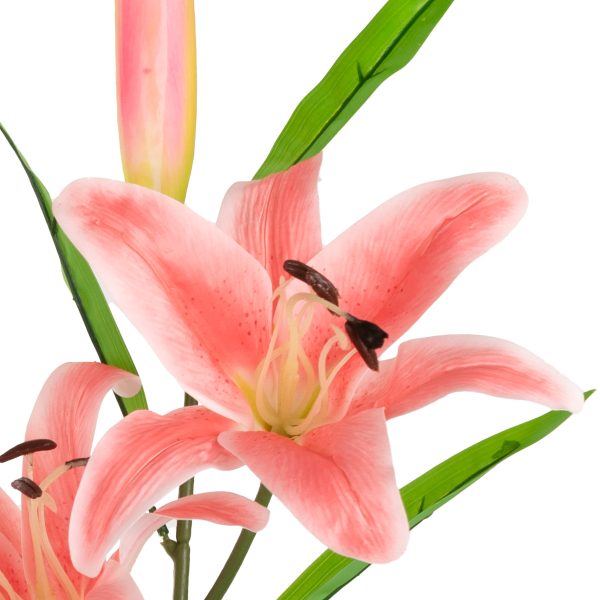 lily stem light pink