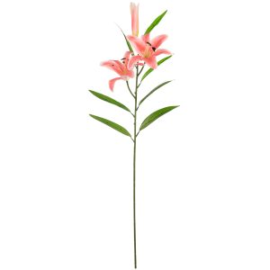 lily stem light pink