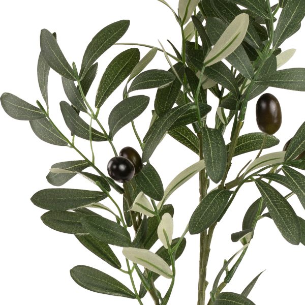 olive spray