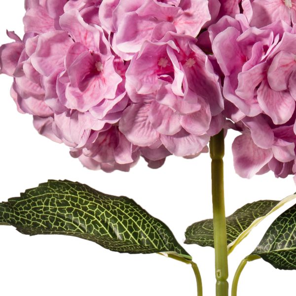 Hydrangea Two Tone Pink