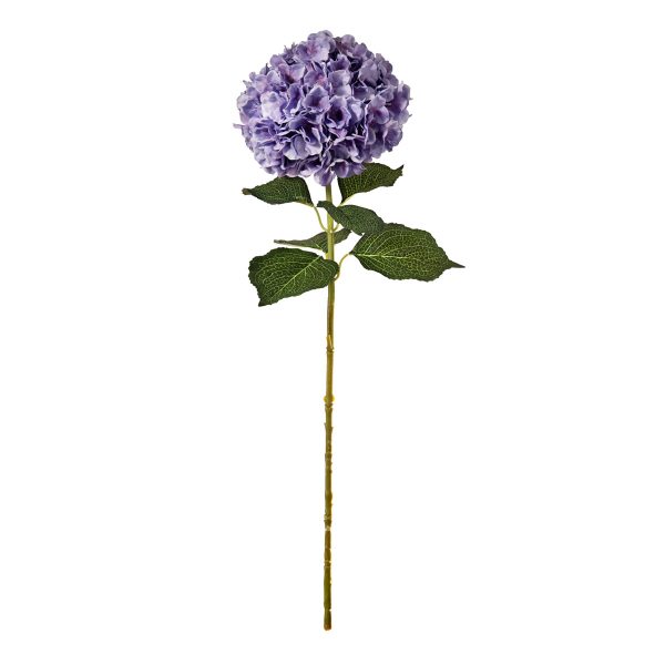 Hydrangea Lavender