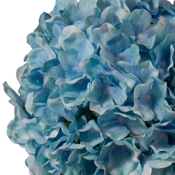 Hydrangea Light Blue