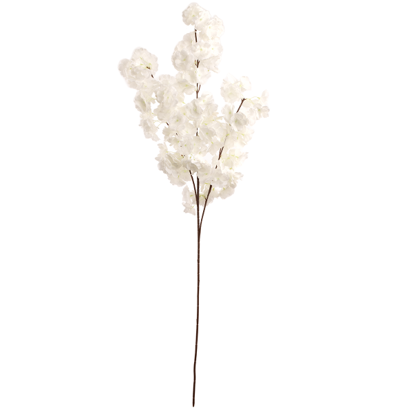 Blossom White