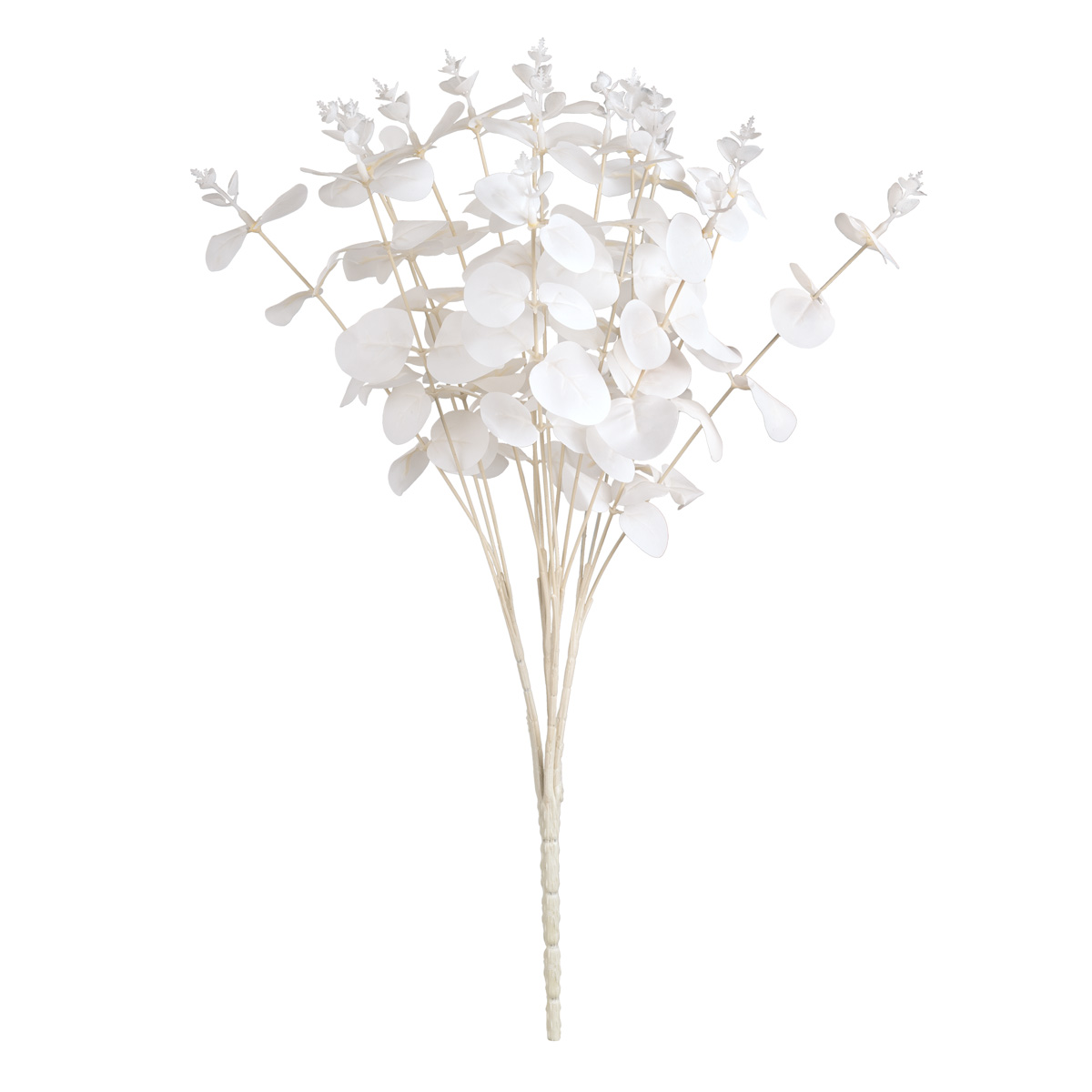 Eucalyptus Bush x 16 White | EleganzaFloral